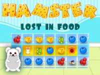 Hamster Lost In Food - Puzzle Game