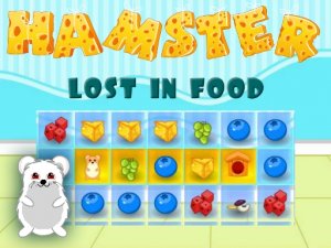 Hamster Lost In Food - Puzzle Game
