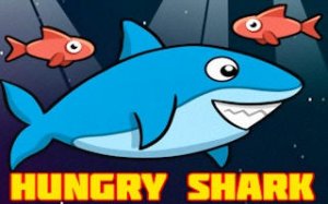 Ocean Shark Feeding Adventure