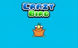 Crazy Bird - Arcade Flier Online Game