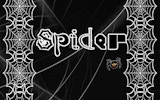 Funny Spider: Climb & Jump Online Game