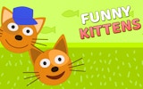 Funny Cats: Fruit Collection Games Online