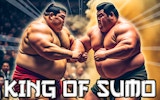 King Of Sumo Wrestling Online Game