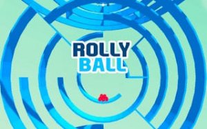 Rolly Ball Maze Puzzle