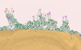 Sandspiel - Pixel Creation Online Game