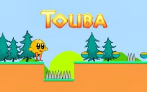 Touba Bird Platform Journey