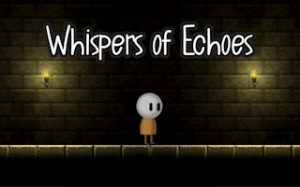Echo Puzzle Dungeon Adventure