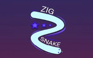 Zig Snake: Endless Arcade Runner Online Game